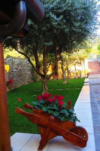 Bed & Breakfast Cam�