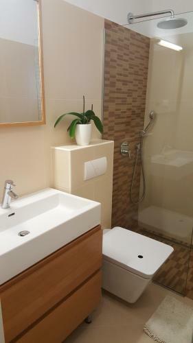 Apartments Dvor