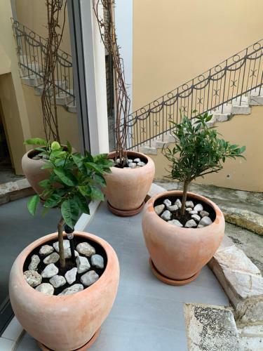 Hostal Villa La Mama