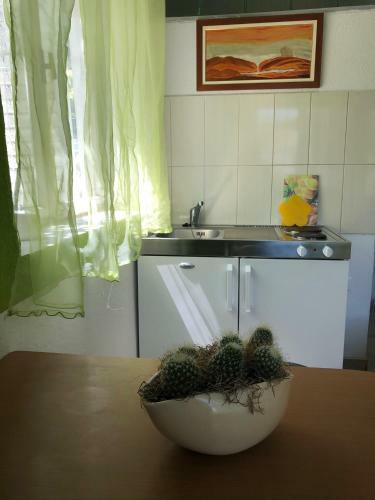 Apartamento Family Stakic