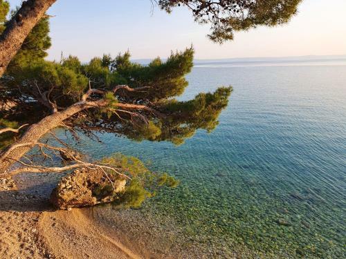 Apartamento Villa La Vita