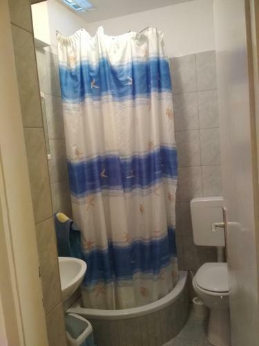 Hostal Apartmani Carevi?
