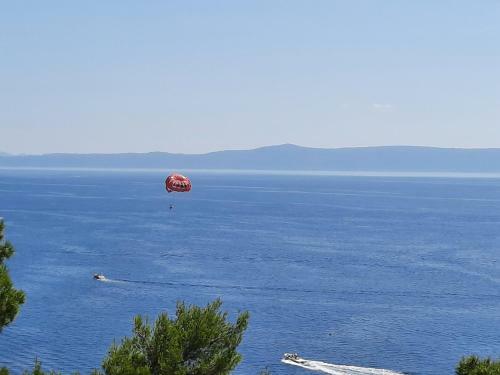 Apartamento Villa Saric K&m