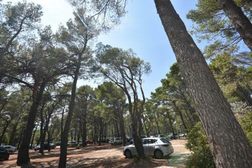 Mobile Homes Sara - Camping Ba?ko Polje , Adriatic , Dalmatia