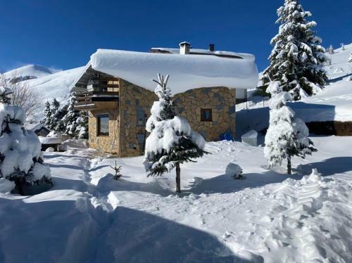 Villa 80 Kodra E Diellit