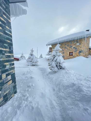 Villa 80 Kodra E Diellit