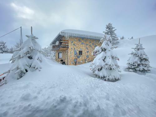 Villa 80 Kodra E Diellit