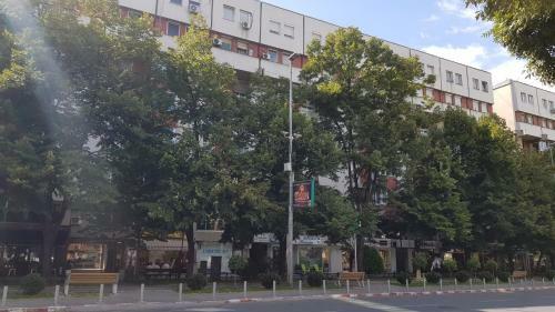Central View Apartment