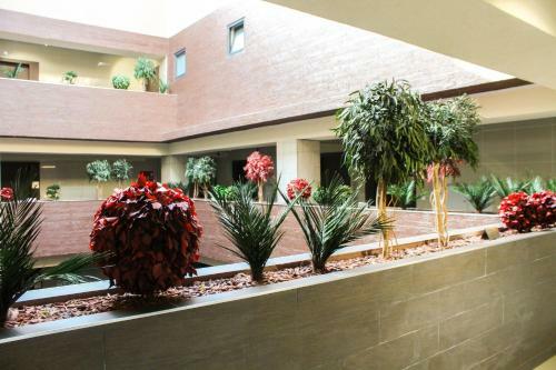 High End Apartments In Diamond Garden Building
