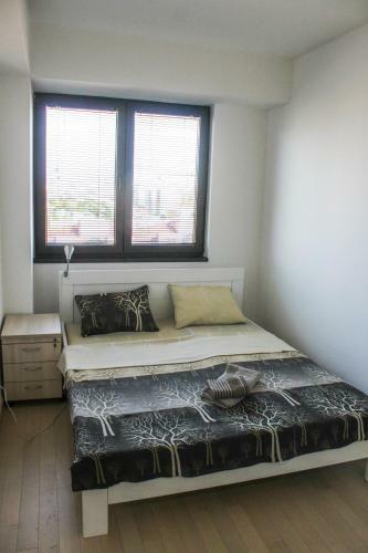 High End Apartments In Diamond Garden Building