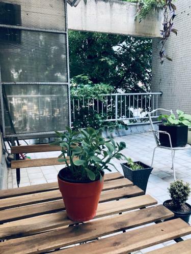 Lita Apartment