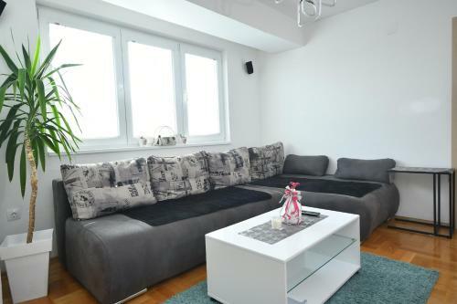 New, Modern & Luxury Apartment In The City