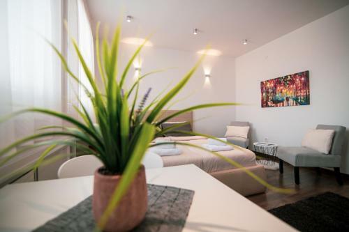 Apartamento 5 Star Central Studio