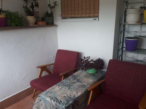 Viva Apartment