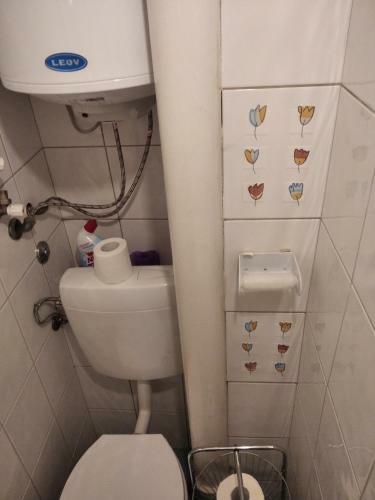 Viva Apartment