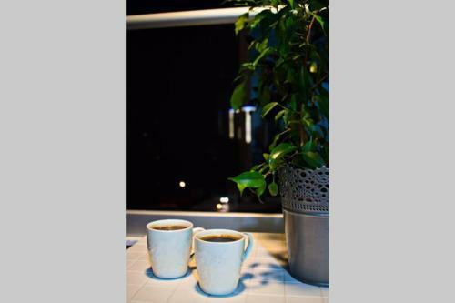 Apartamento New Studio/comfy/near Bus Station