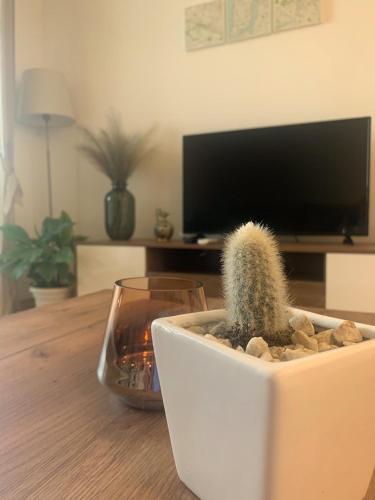 Artemis Apartment - Traveller Awards 2022
