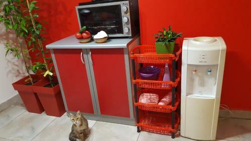 Relax Apartment