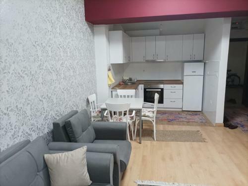 Two Rooms And Kitchen, Bathroom With Balcony Apartment