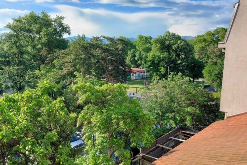 Marvelous One Bedroom Park Apartment Van Gogh