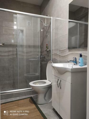 Apartment Denica