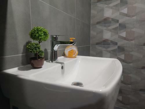 Antoni Apartment