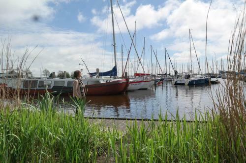 6 Pers Chalet Emma Direkt Am Lauwersmeer