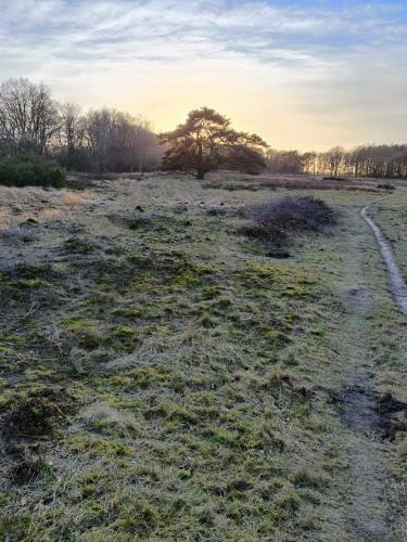 Huize Bosland Met Houtgestookte Hottub.