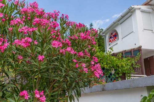 Hostal Studio Apartments & Room Gilda
