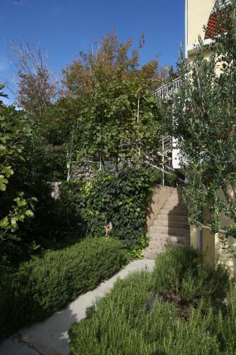 Apartments Nasic With Beautiful Sea View