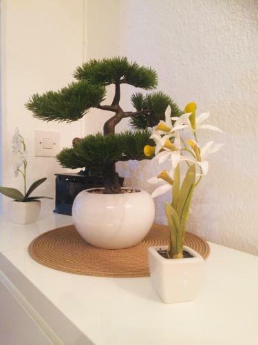 Apartamento Aurelia