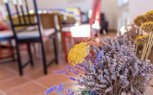 Apartamentos Tinka