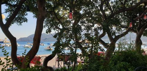 Apartment N6 D&d, Baska