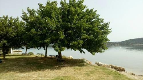Apartamentos Arija