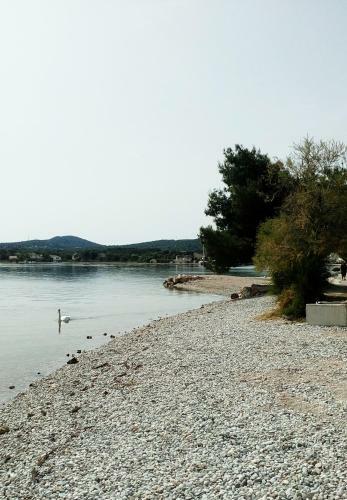 Apartamentos Arija