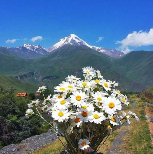 Hostal Guest House Temur Sujashvili