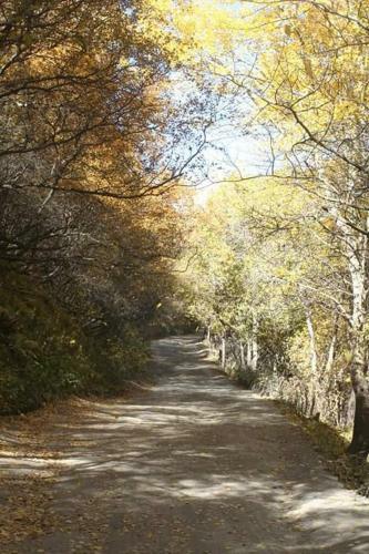 Hostal Guest House Temur Sujashvili