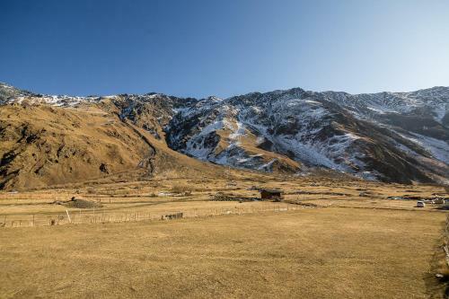 Old Hut