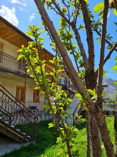 Hostal Sunny Mountain House