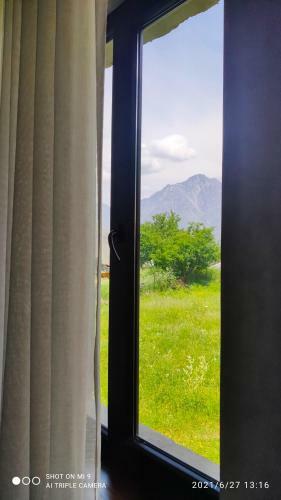 Green Apartment