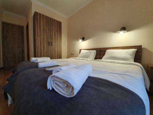 Hotel Gold Kazbegi