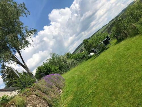 Ardenne View