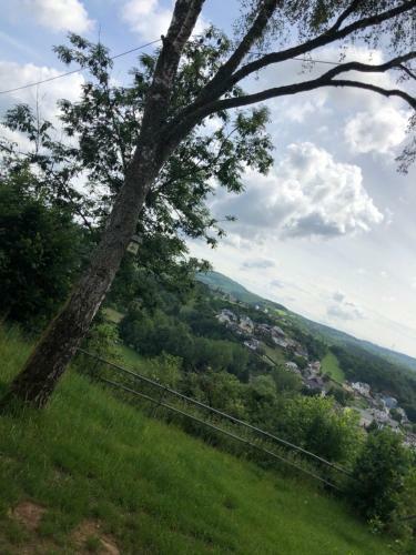 Ardenne View