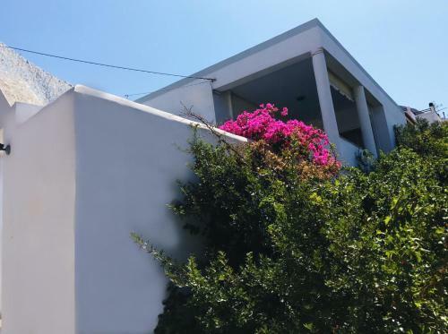 The White House By The Sea