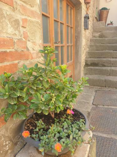 Hostal UNA Finestra Sul Borgo