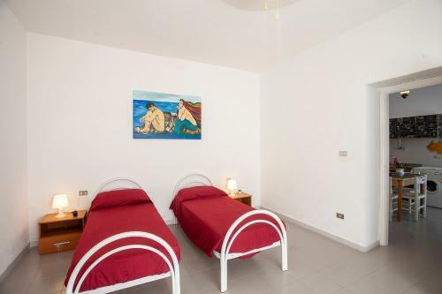 Don Bruno Homes