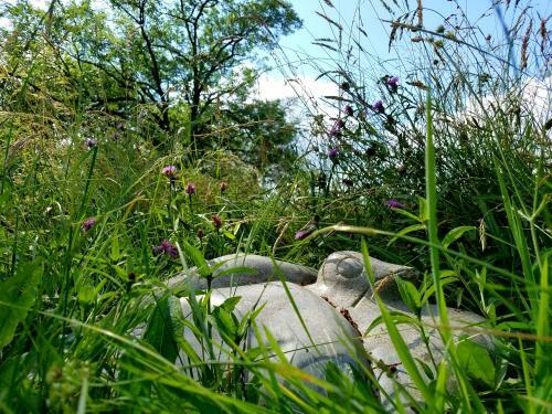 Bed & Breakfast Oh, Le Ch�teau!