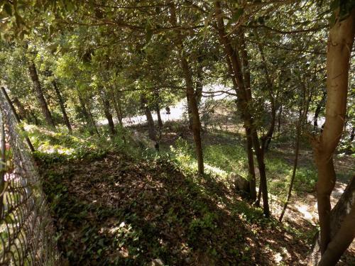 B&B Il Leccio Nel Bosco