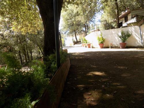 B&B Il Leccio Nel Bosco