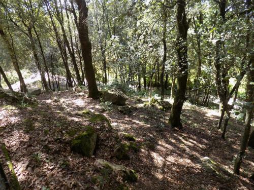 Hostal Room In Bb - Bb Il Leccio , Umbria